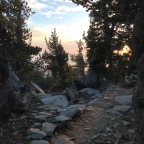 PCT day 14
