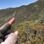Pct day 36